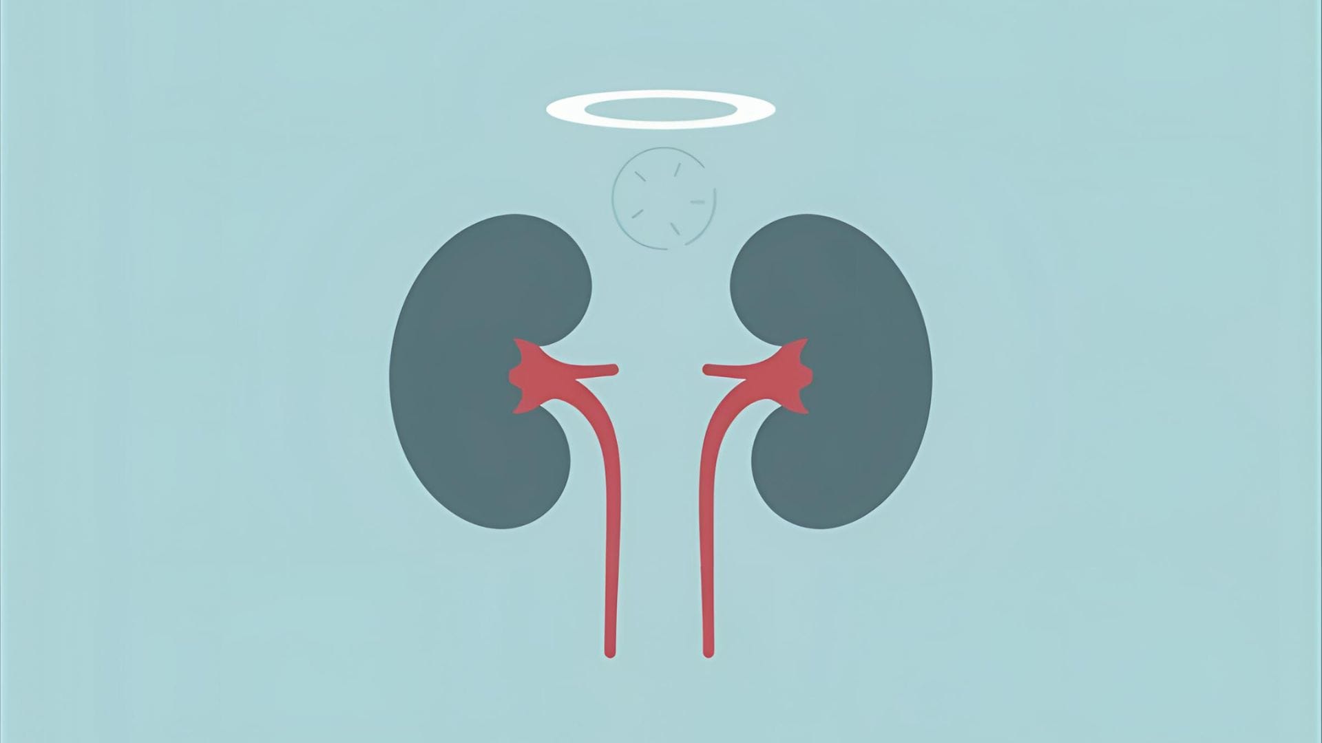 Glomérulonéphrite extramembraneuse : reins