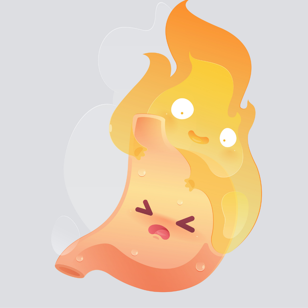 reflux-bebe-que-faire-illustration-estomac-nourrisson-acide-remontees-brulures-digestives