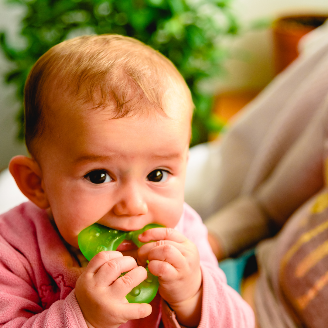 Poussée dentaire bébé : hygiène bucco-dentaire dès la première dent