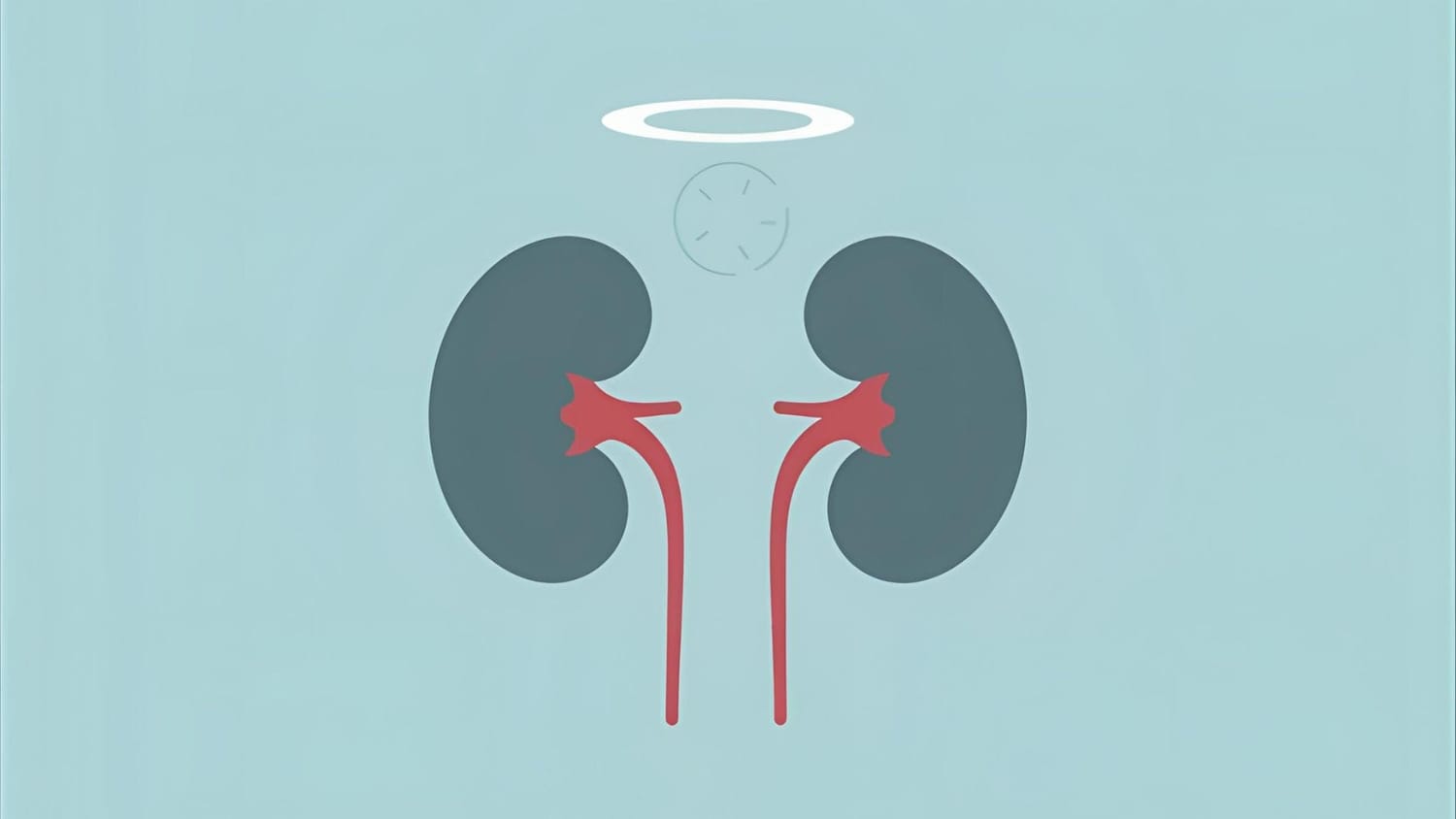 Glomérulonéphrite extramembraneuse : symptômes, diagnostic et options thérapeutiques